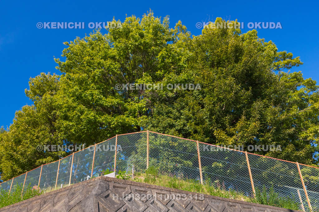 奈良県　美努岡萬墓　遠望