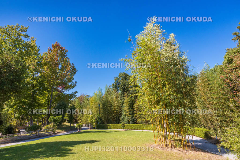 奈良県　高山竹林園
