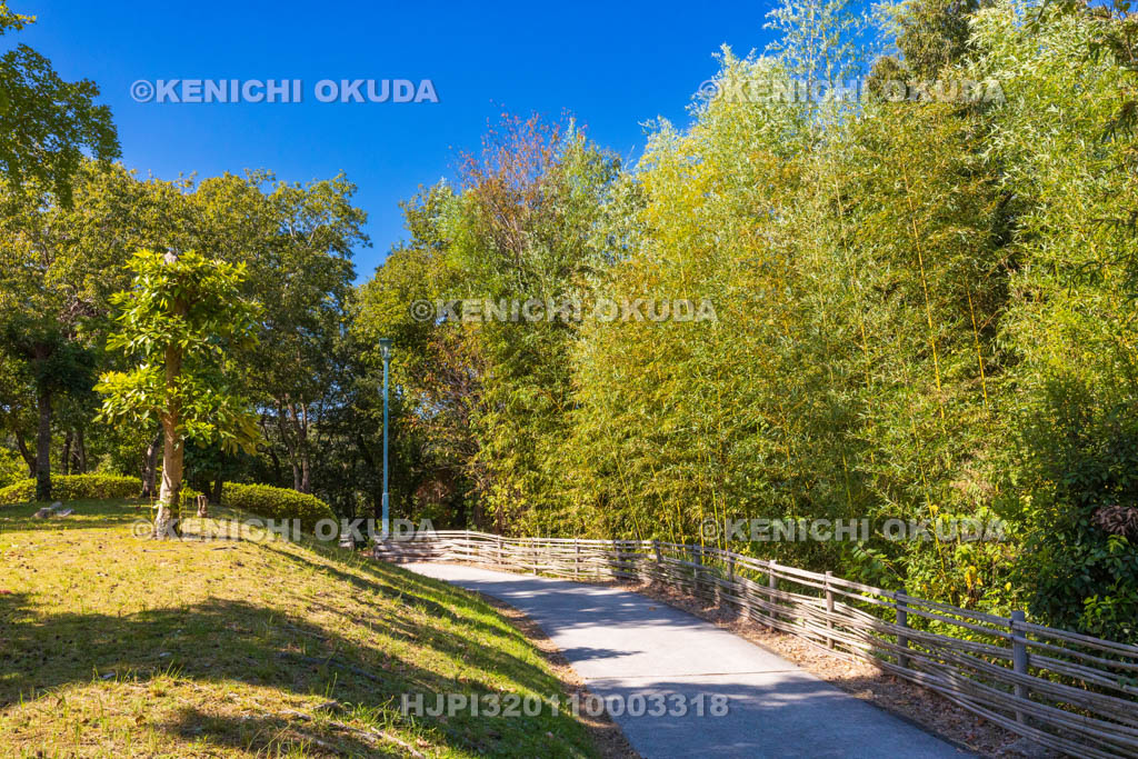 奈良県　高山竹林園