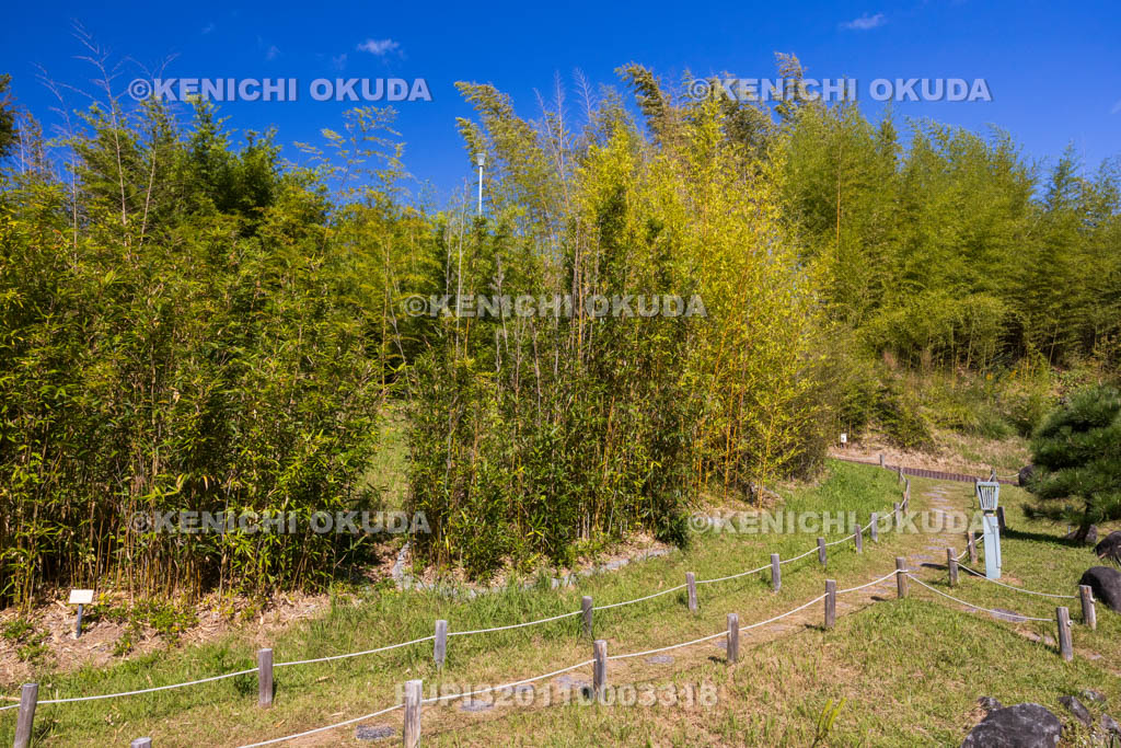 奈良県　高山竹林園