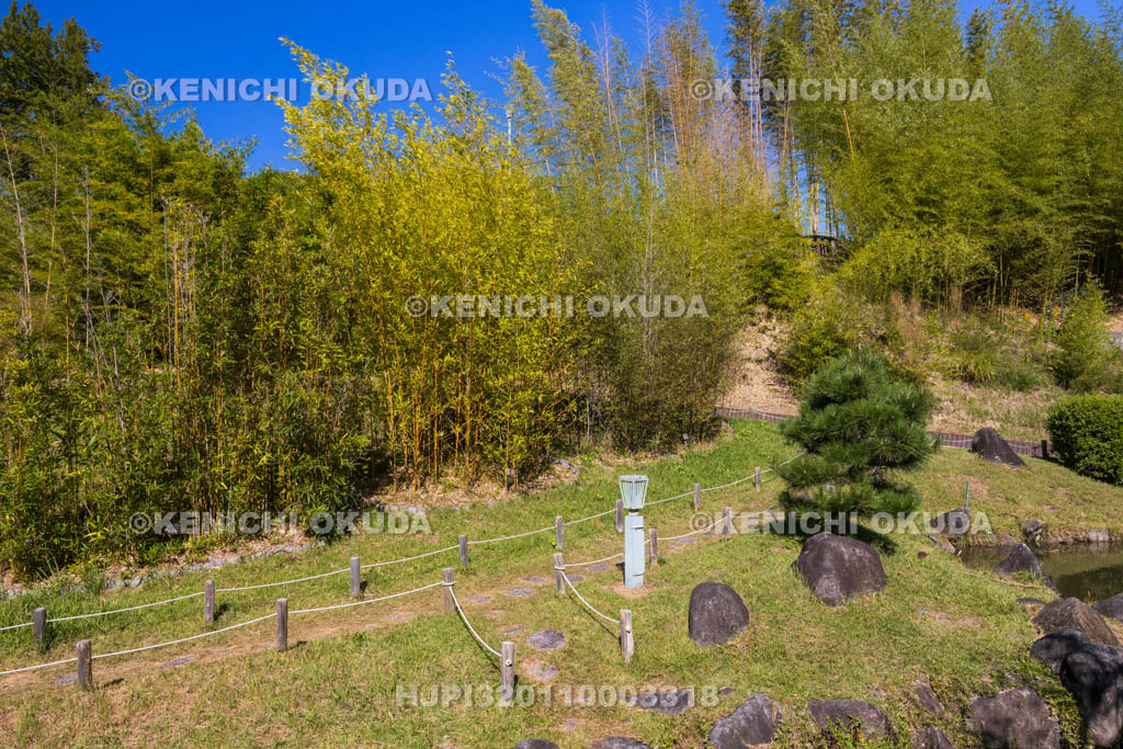 奈良県　高山竹林園