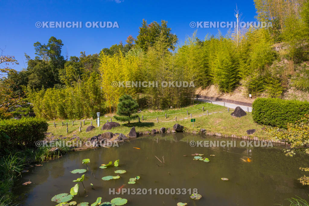 奈良県　高山竹林園