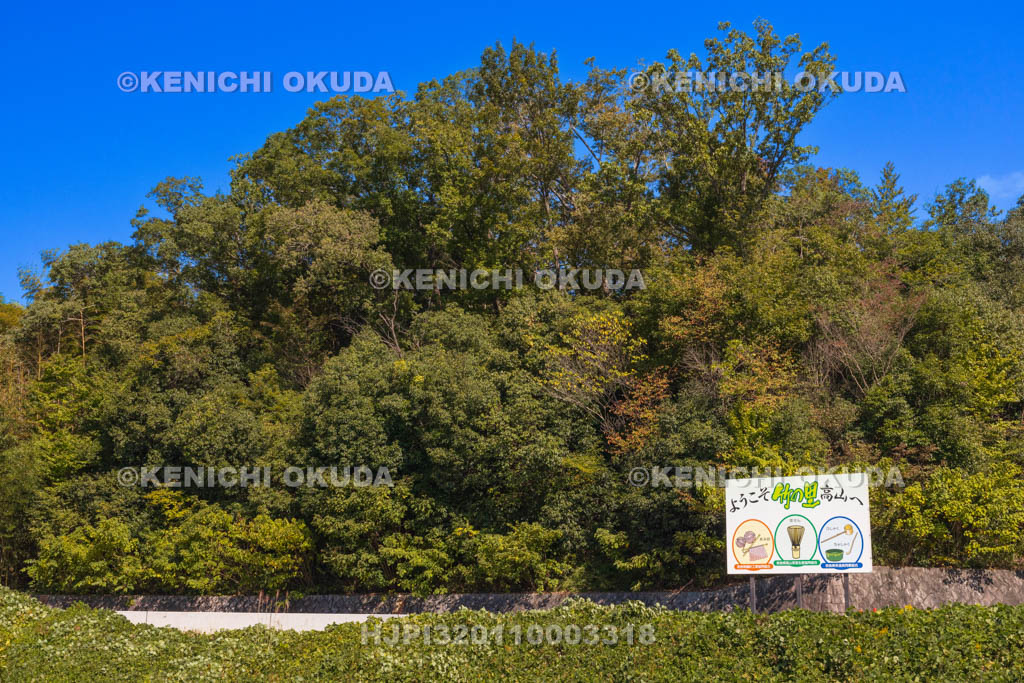 奈良県　高山竹林園　「竹の里高山」の看板