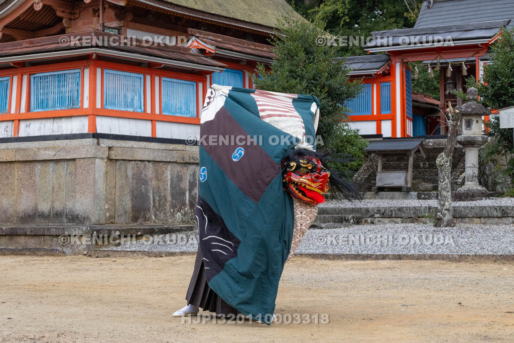 奈良県　神波多神社　天王祭　獅子舞