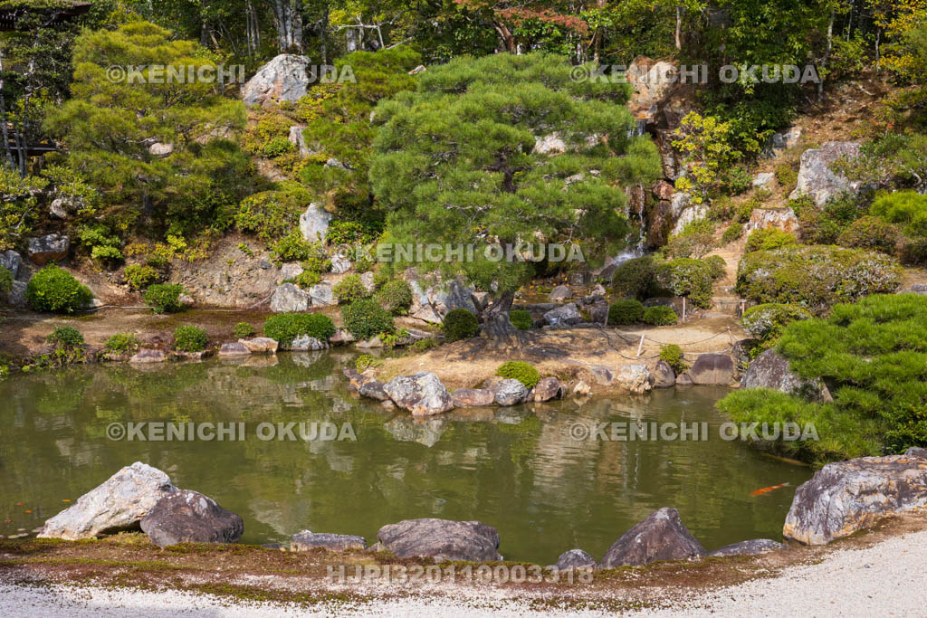 京都府　仁和寺　御所庭園　北庭