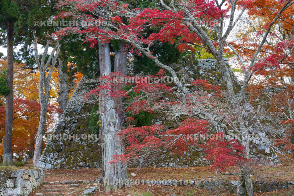 奈良県　紅葉の高取城跡　天守台