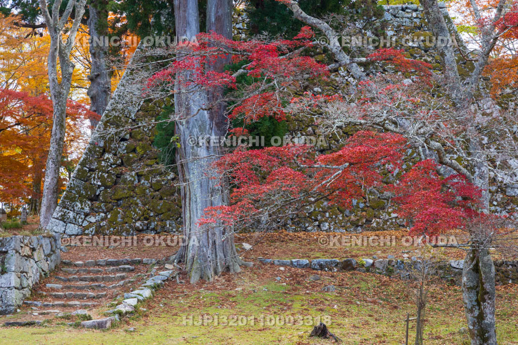 奈良県　紅葉の高取城跡　天守台