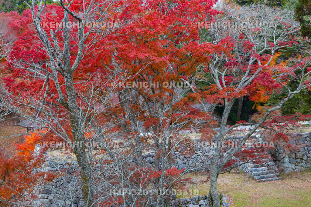 奈良県　紅葉の高取城跡　太鼓櫓跡・新櫓跡