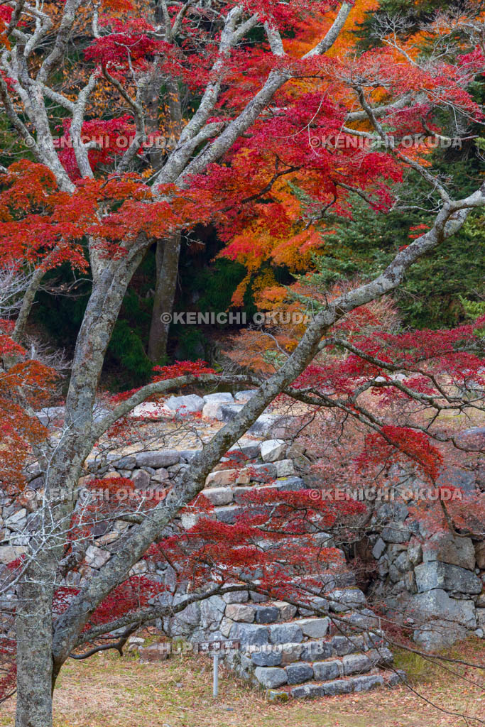 奈良県　紅葉の高取城跡　新櫓跡