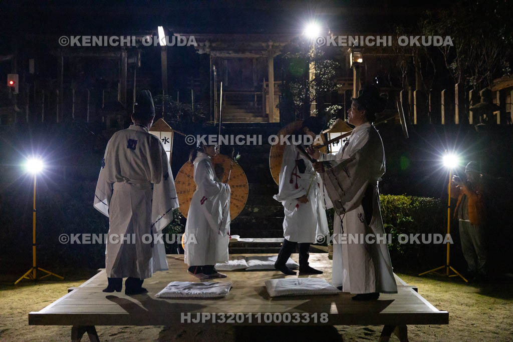 奈良県　平尾のオンダ　追苗取り