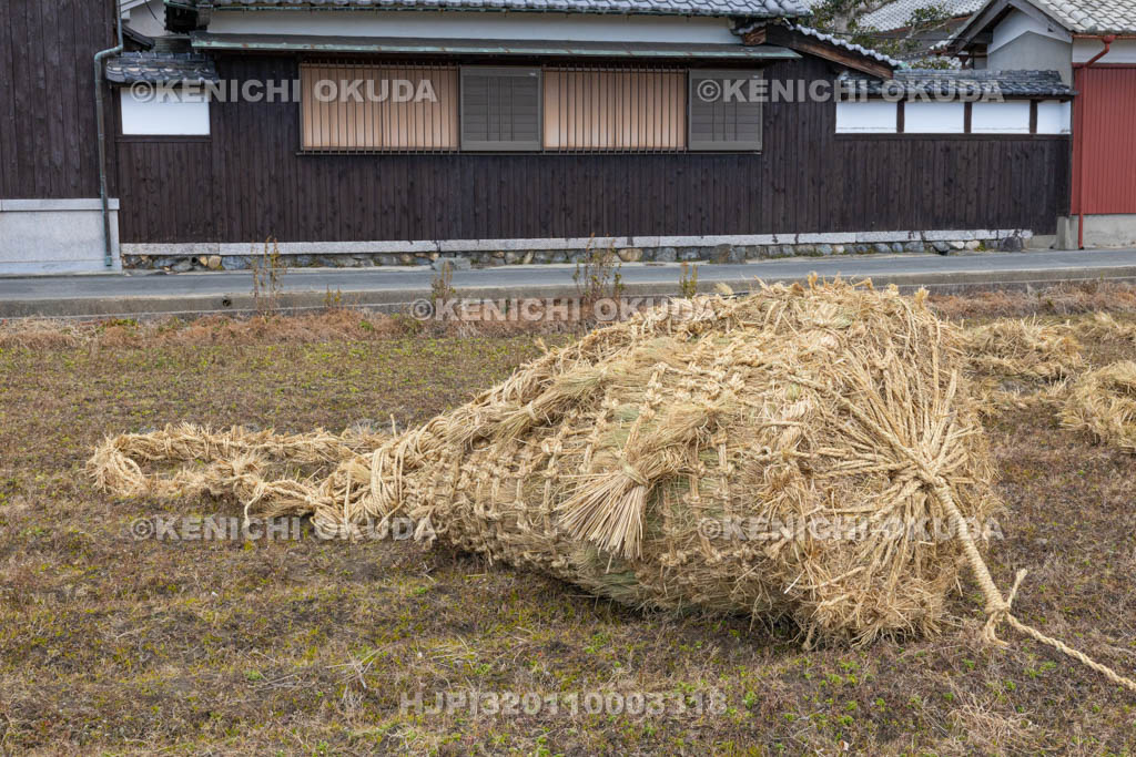 奈良県　江包・大西の御綱　雄綱