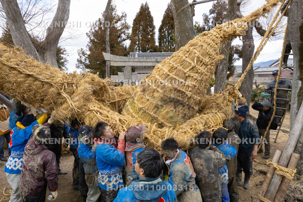 奈良県　江包・大西の御綱　素戔嗚神社　雄綱と雌綱の結合（入船式）