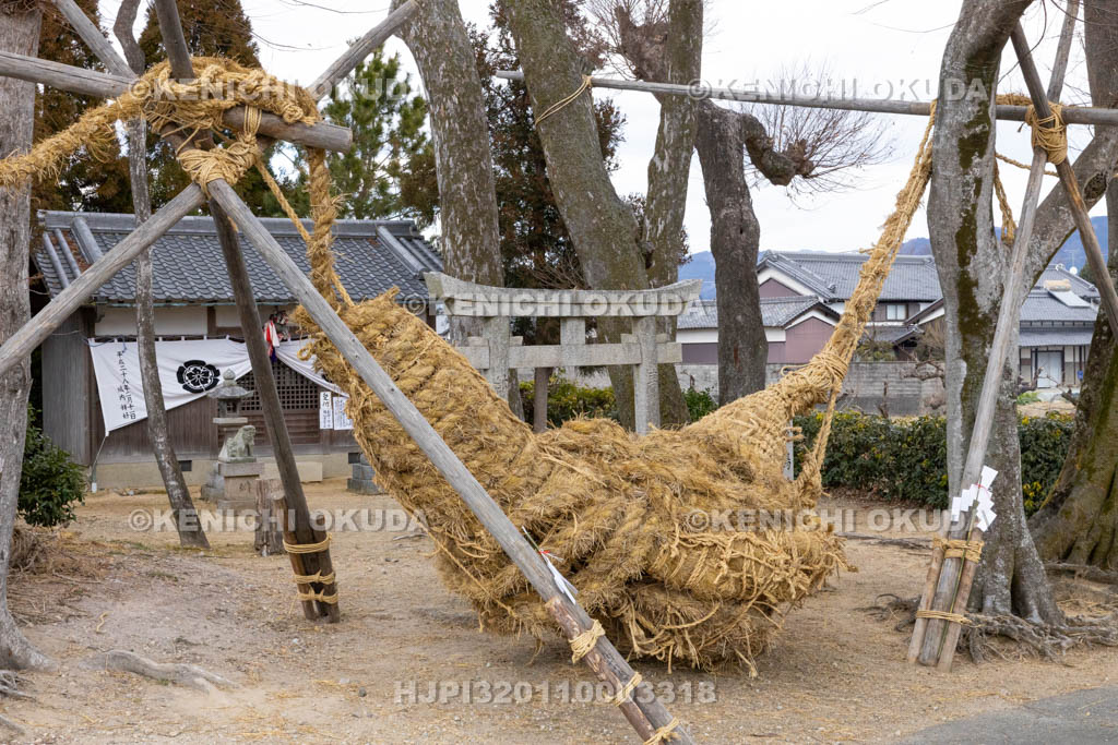 奈良県　江包・大西の御綱　素戔嗚神社　雌雄綱