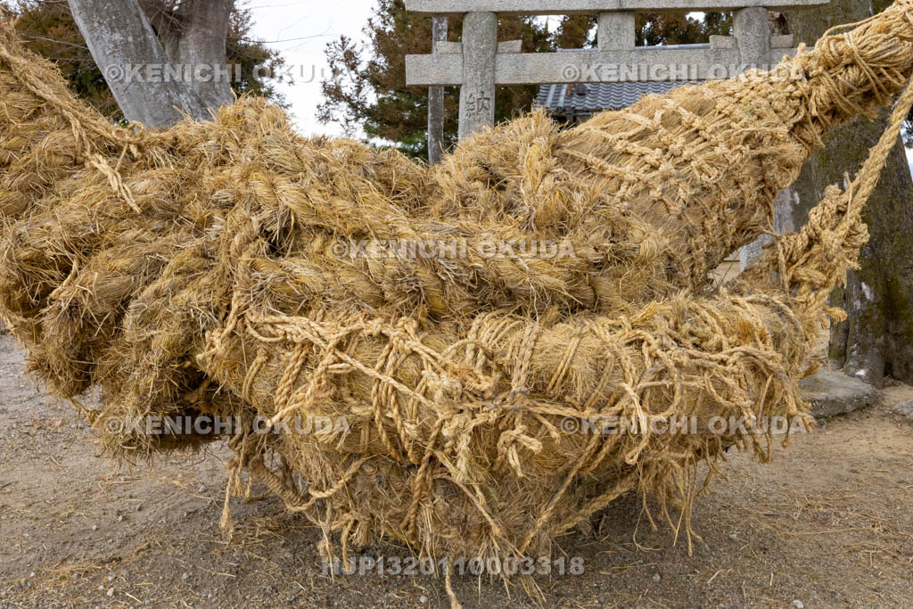 奈良県　江包・大西の御綱　素戔嗚神社　雌雄綱