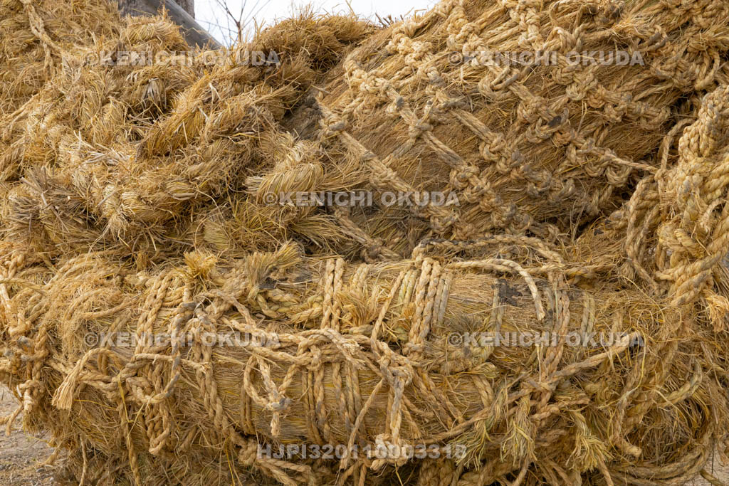 奈良県　江包・大西の御綱　素戔嗚神社　雌雄綱
