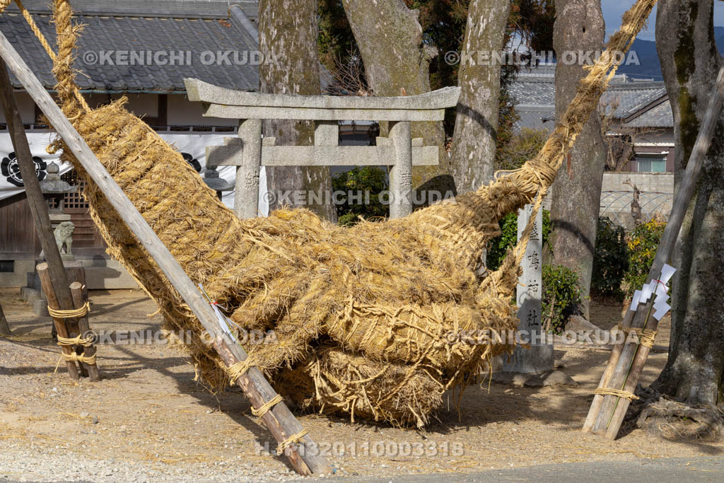 奈良県　江包・大西の御綱　素戔嗚神社　雌雄綱