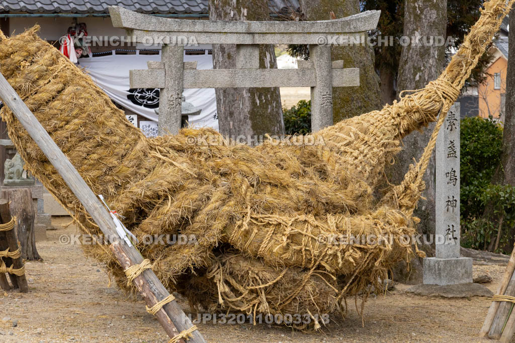 奈良県　江包・大西の御綱　素戔嗚神社　雌雄綱