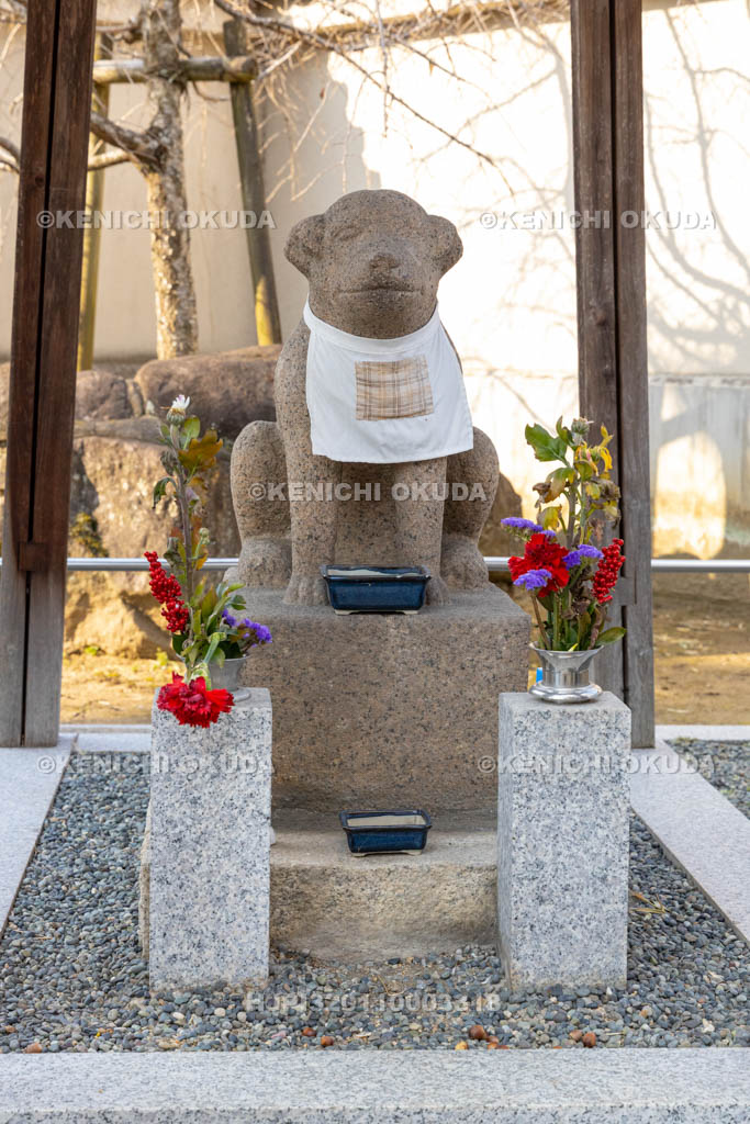 奈良県　達磨寺　石造雪丸像