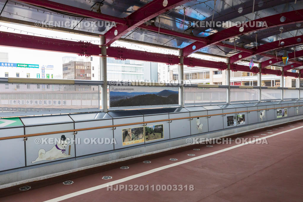 奈良県　JR王寺駅　雪丸の足あと（雪丸ロード）