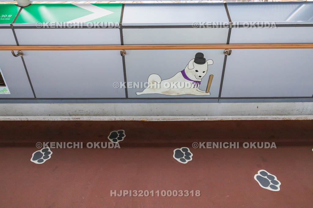 奈良県　JR王寺駅　雪丸の足あと（雪丸ロード）