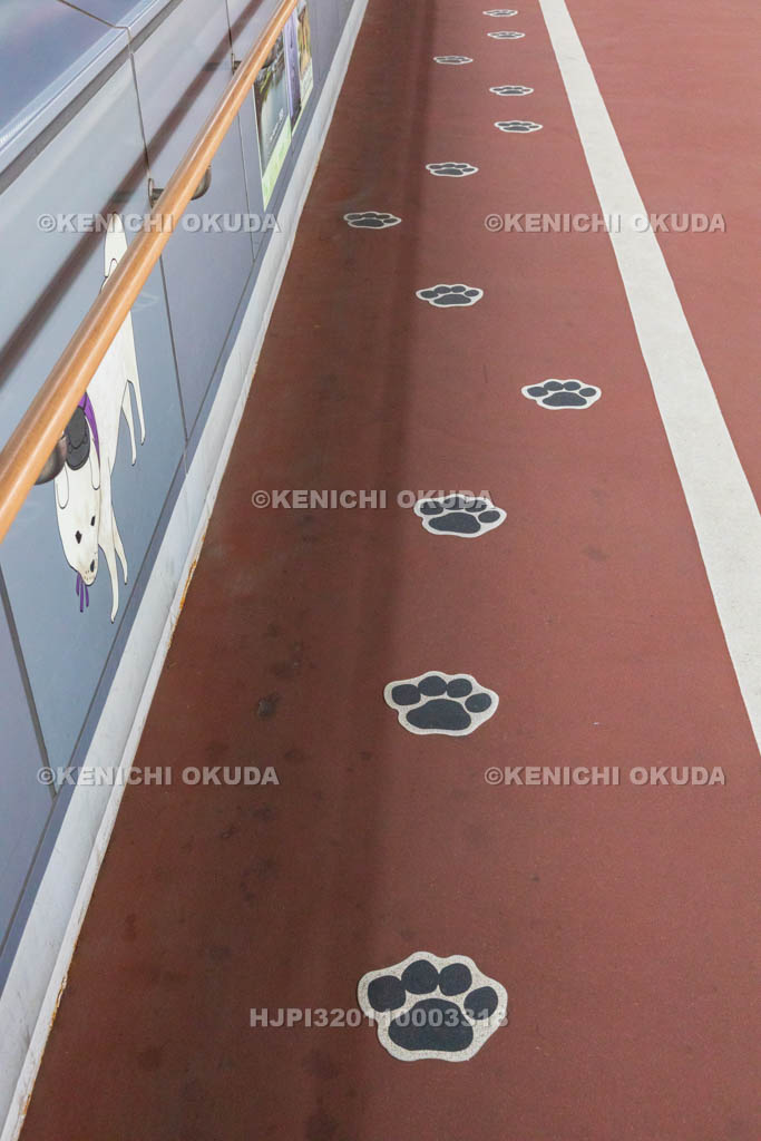 奈良県　JR王寺駅　雪丸の足あと（雪丸ロード）