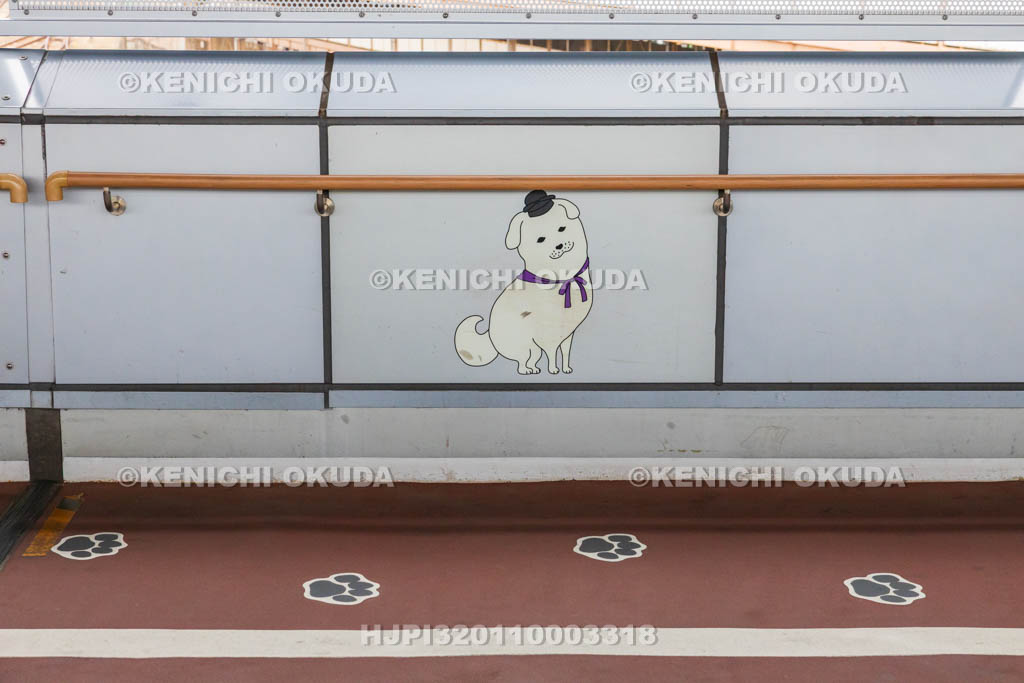 奈良県　JR王寺駅　雪丸の足あと（雪丸ロード）