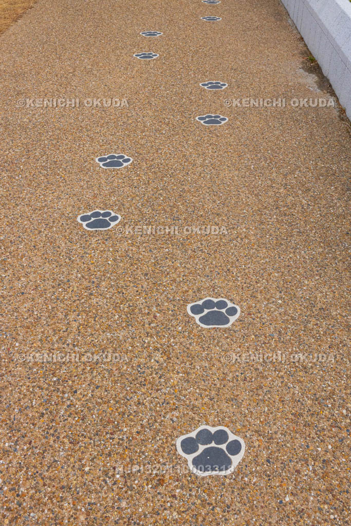 奈良県　葛下川　雪丸の足あと（雪丸ロード）