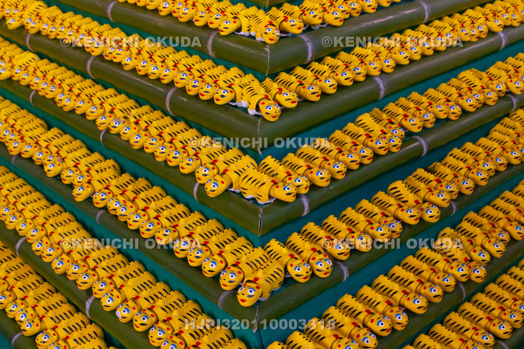 奈良県　信貴山寅まつり　特別祭壇　張り子の寅