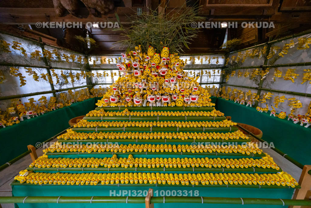 奈良県　信貴山寅まつり　特別祭壇　張り子の寅