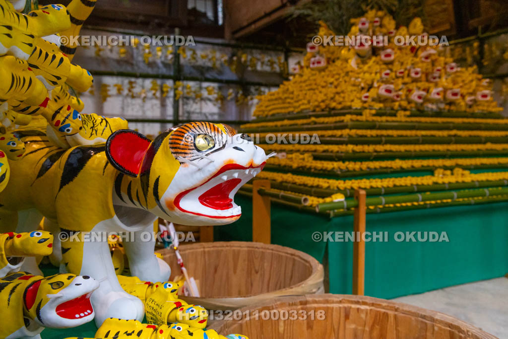 奈良県　信貴山寅まつり　特別祭壇　張り子の寅
