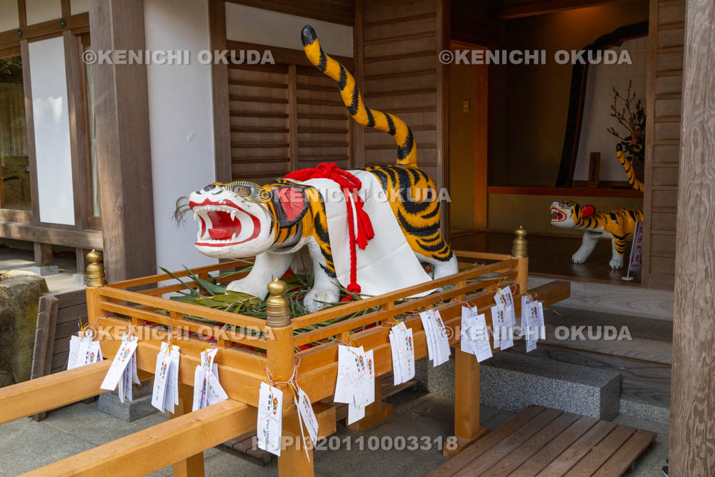 奈良県　信貴山寅まつり　寅みこし