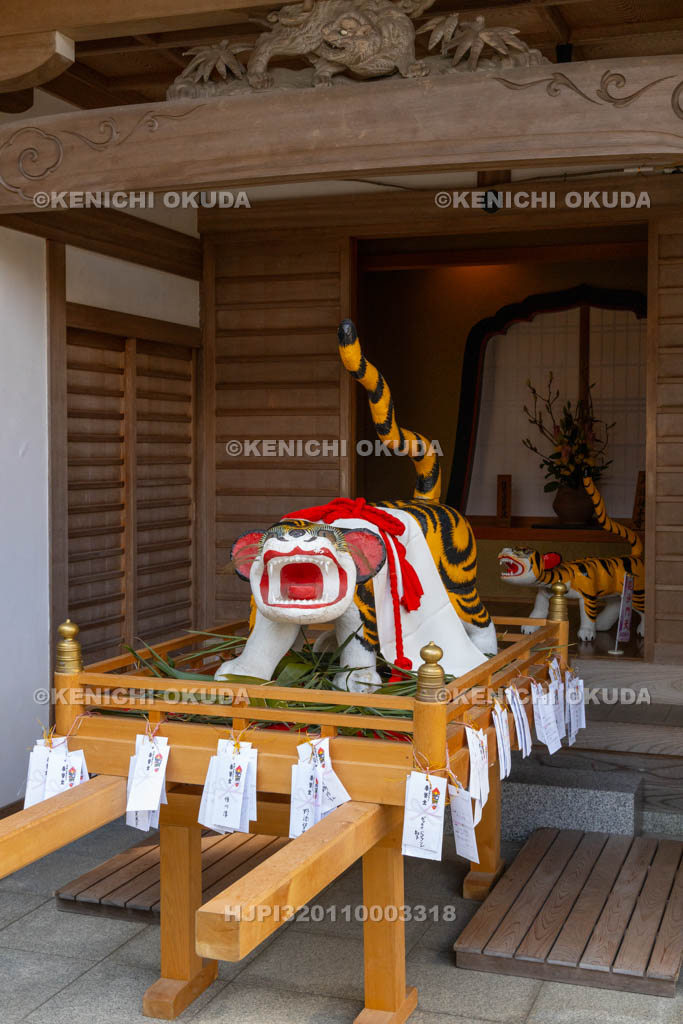 奈良県　信貴山寅まつり　寅みこし