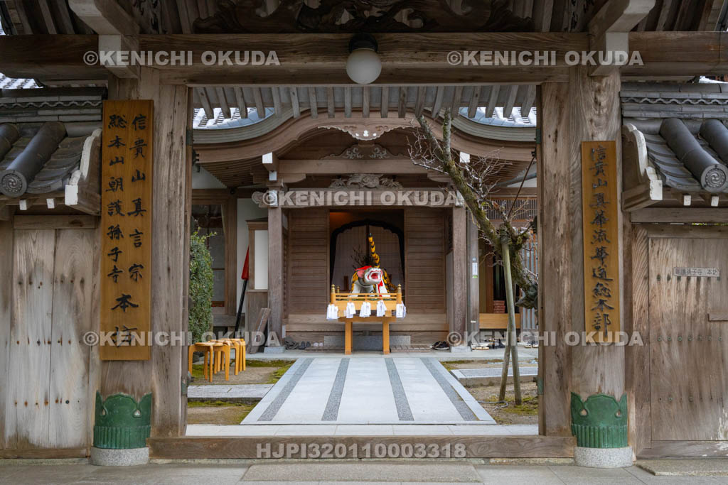 奈良県　信貴山寅まつり　本坊の寅みこし