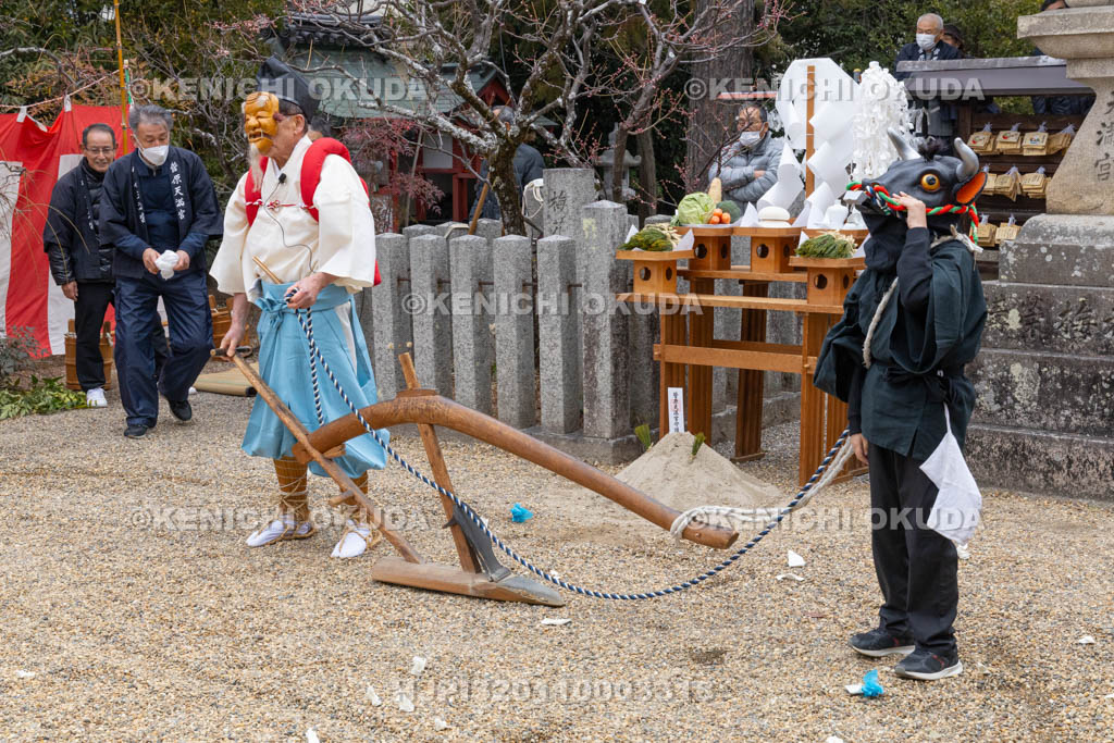 奈良県　菅原天満宮　おんだ祭　田起こし