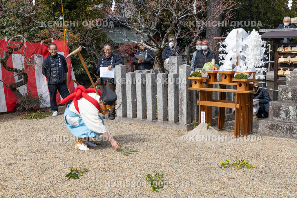 奈良県　菅原天満宮　おんだ祭　草抜き