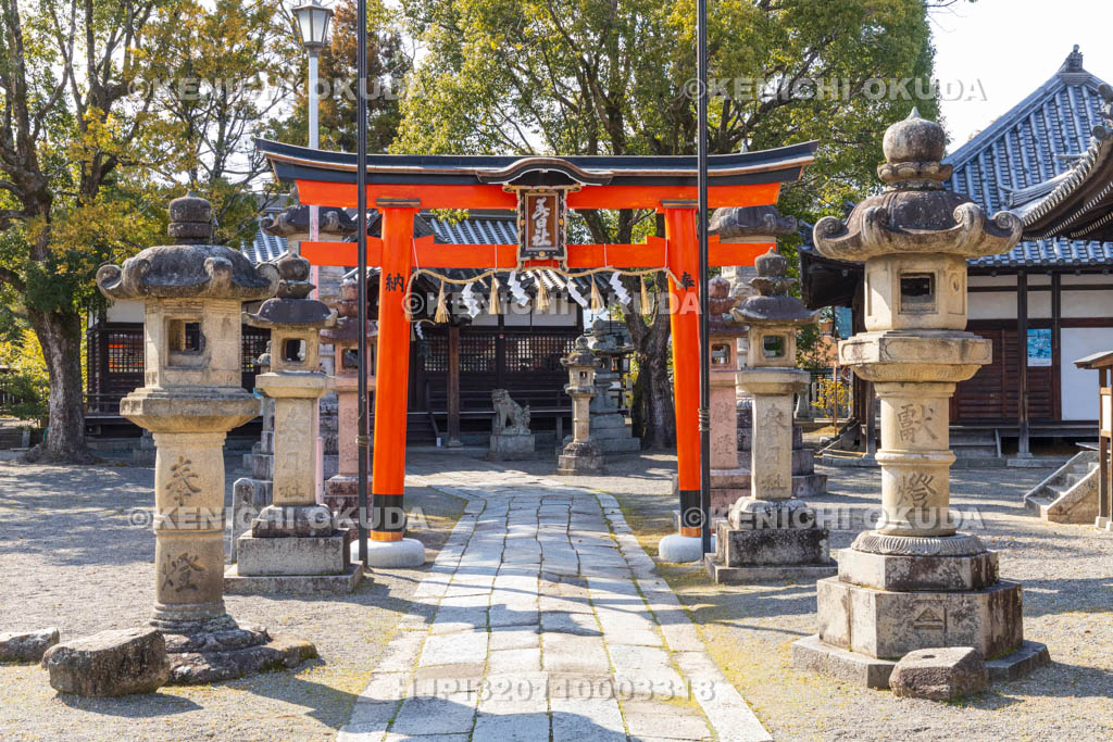 奈良県　今井町　春日神社　旧常福寺表門