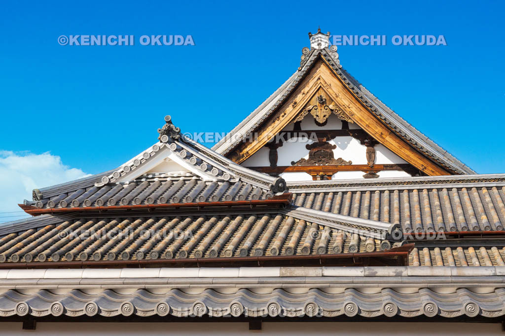 奈良県　今井町　称念寺 （稱念寺）