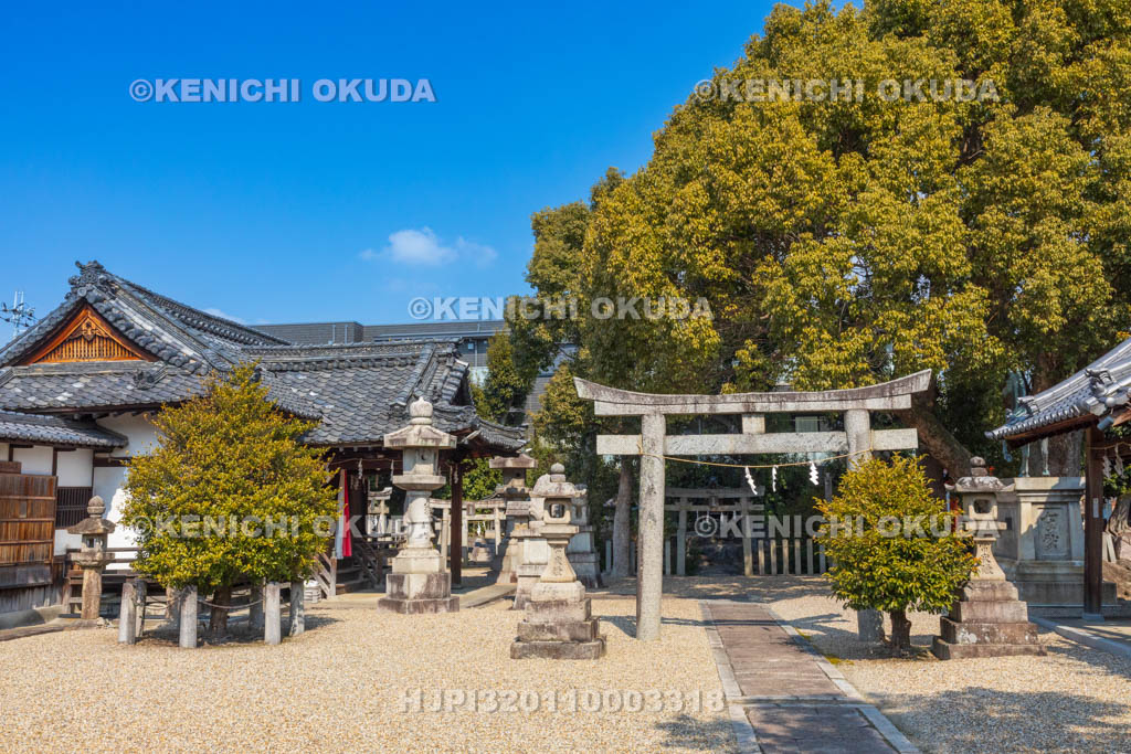 奈良県　八木町　八木春日神社