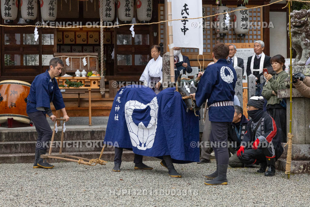 奈良県　長尾神社　おんだ祭　代掻き