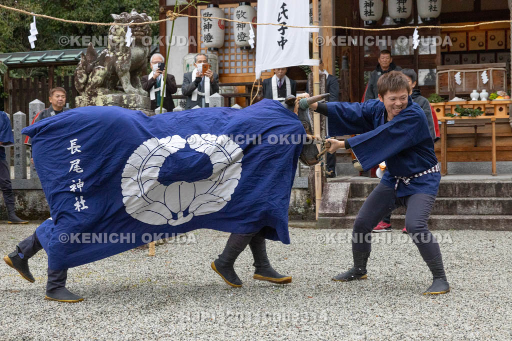 奈良県　長尾神社　おんだ祭　暴れる牛
