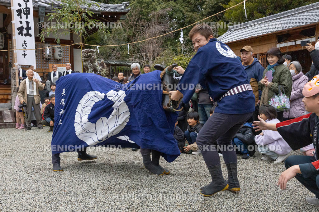 奈良県　長尾神社　おんだ祭　暴れる牛