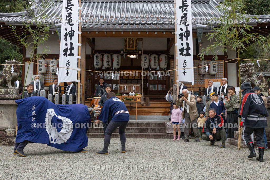 奈良県　長尾神社　おんだ祭　暴れる牛