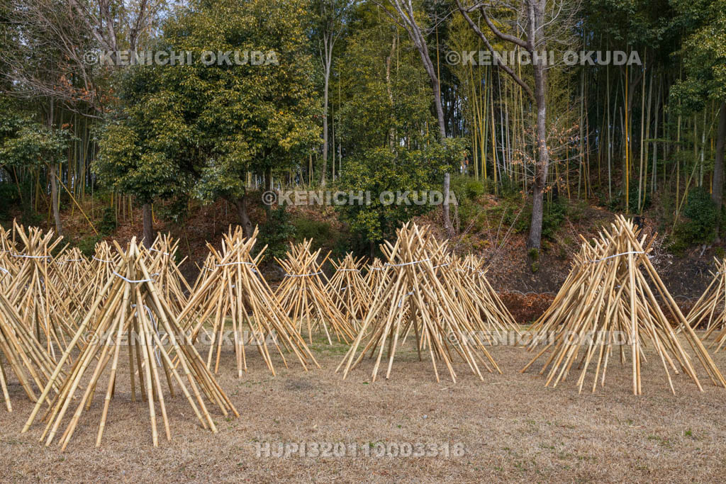 奈良県　高山竹林園　竹の寒干し