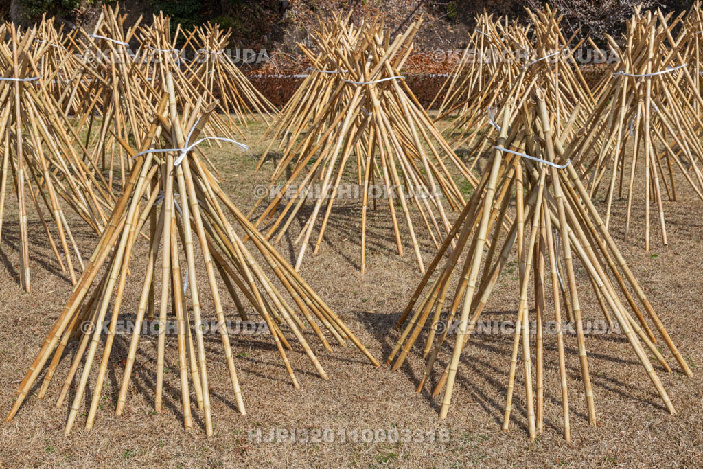 奈良県　高山竹林園　竹の寒干し