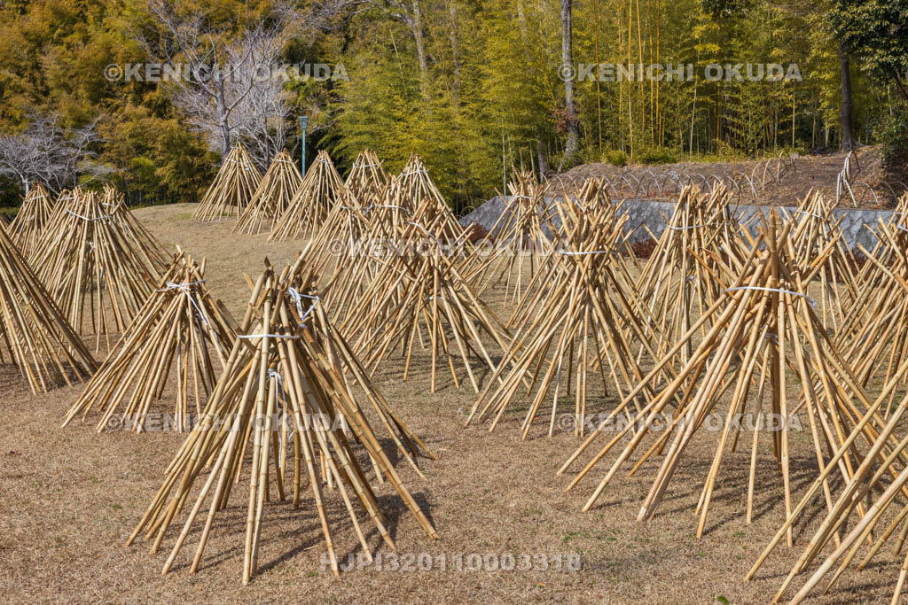 奈良県　高山竹林園　竹の寒干し
