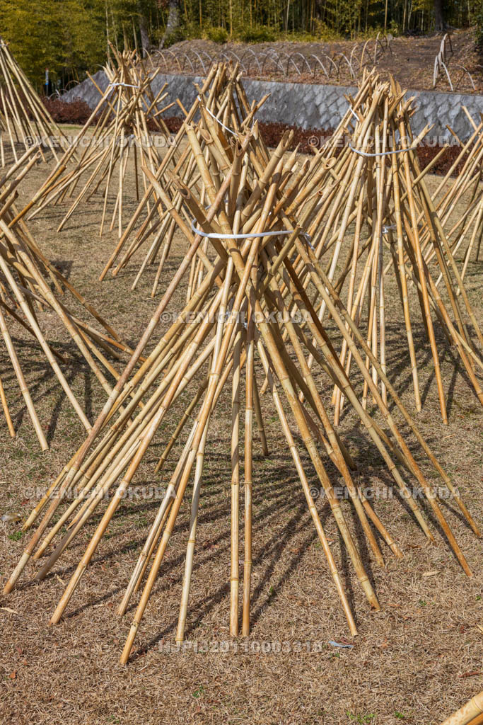 奈良県　高山竹林園　竹の寒干し