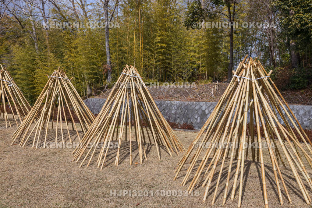 奈良県　高山竹林園　竹の寒干し