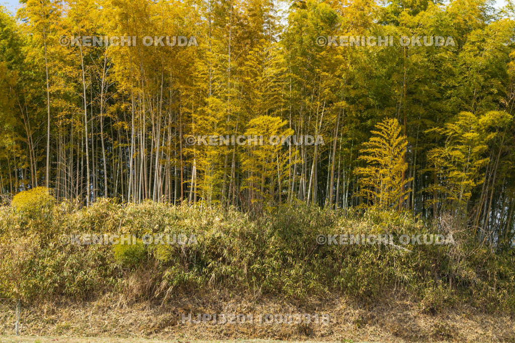 奈良県　竹内街道　鍋塚古墳（葛城市）