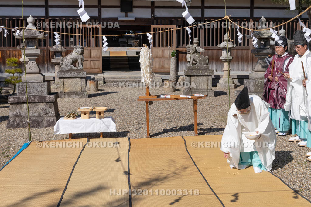 奈良県　甲斐神社　おんだ祭　大豆種蒔き
