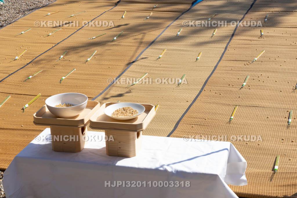 奈良県　甲斐神社　おんだ祭　斎田